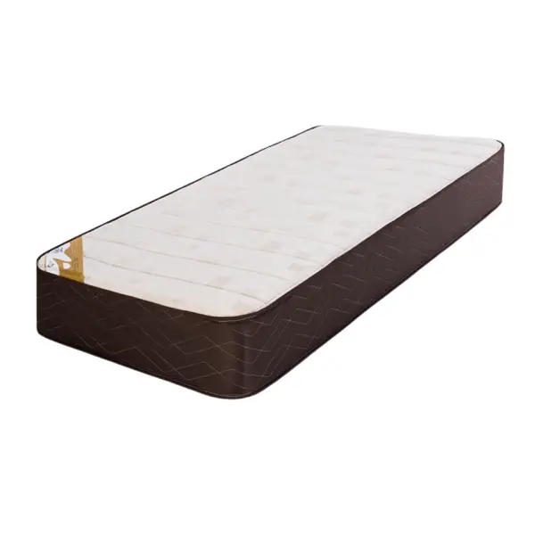 COLCH ESP 100X190X24 GANI GOLDEN FLEX